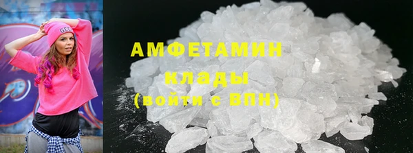 шишки Аркадак