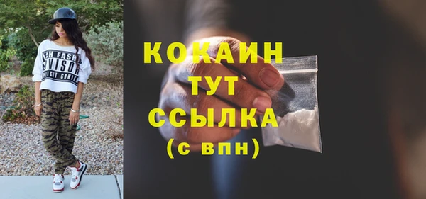 шишки Аркадак