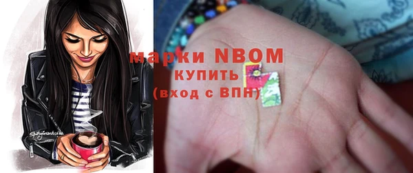 шишки Аркадак